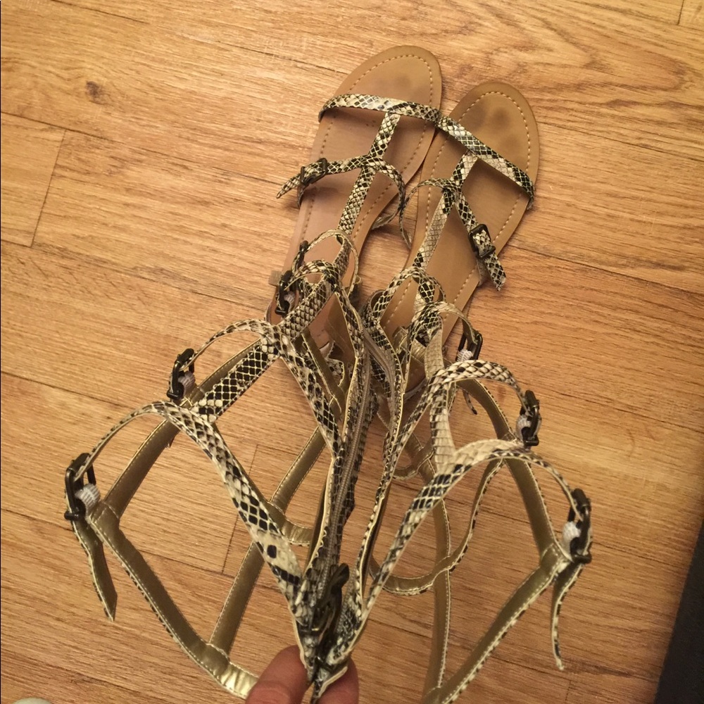 Bcbgeneration - image 4