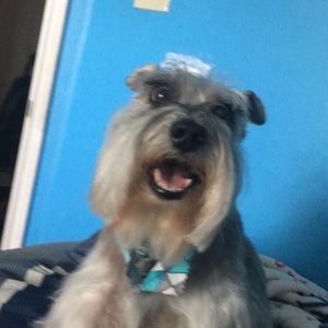 Meet your Posher, Noah