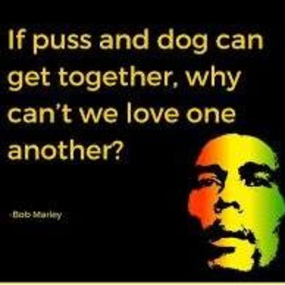 Meet your Posher, Danielle - Picture 1 of 1