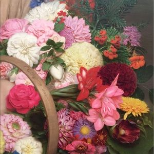 Meet your Posher, Liz