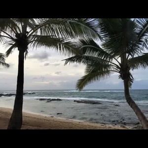 Meet your Posher, Misty