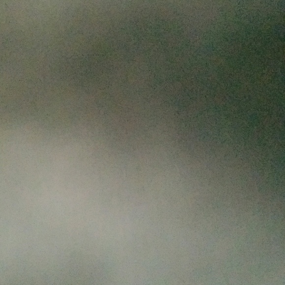 Meet your Posher, Neener - Picture 1 of 1