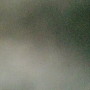 Meet your Posher, Neener