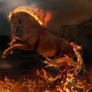 Meet your Posher, Kiet