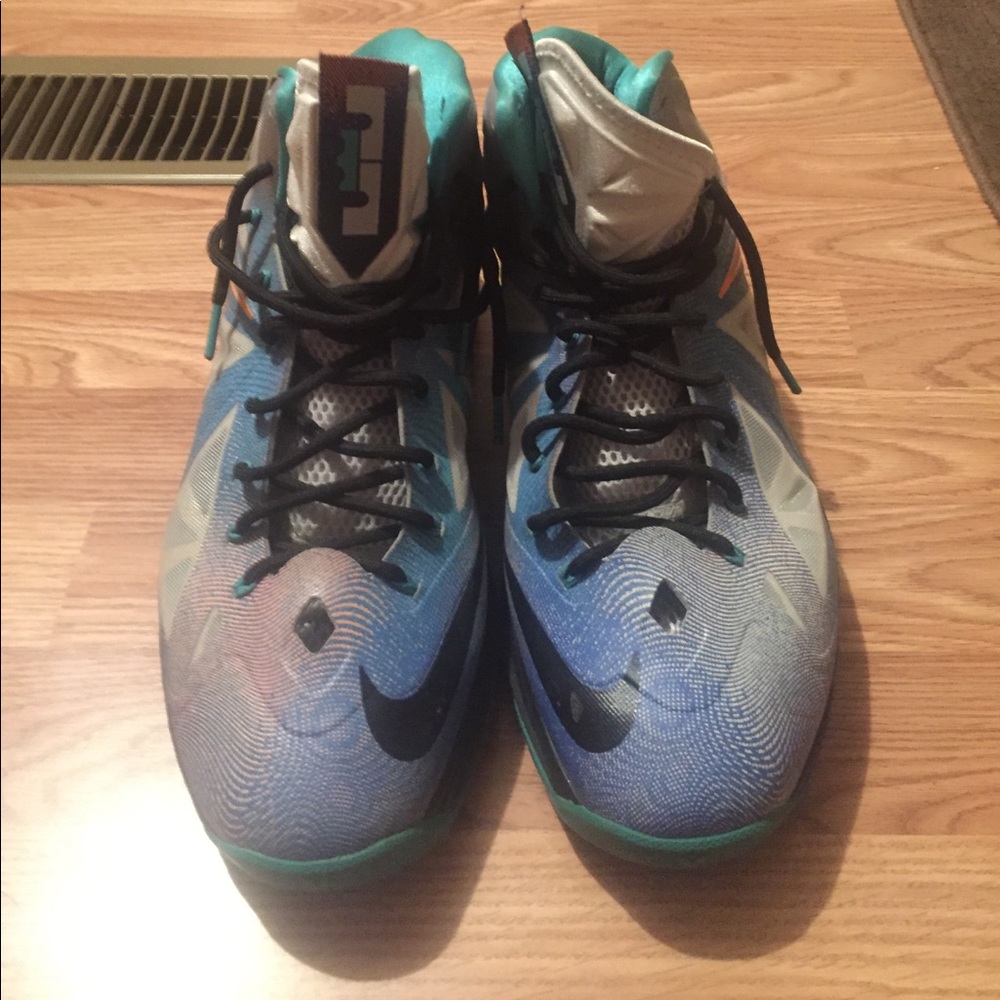 Men's Lebrons Platinum