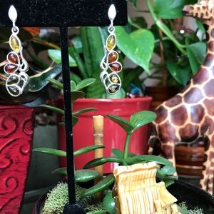 Tricolor Baltic Amber Sterling Silver Earrings