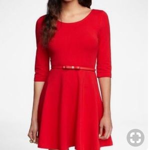 Express Red Skater Dress