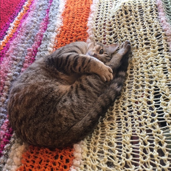 🌻 WELCOME TO MY CLOSET 🌻 - Picture 8 of 8