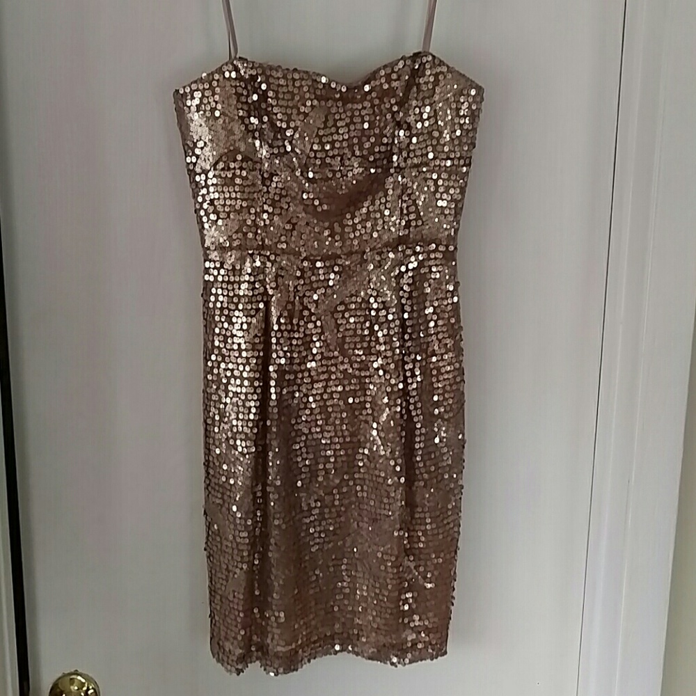 Gorgeous shimmer sequin dress perfect for holidays