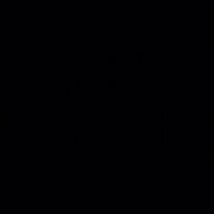 Meet your Posher, Anson