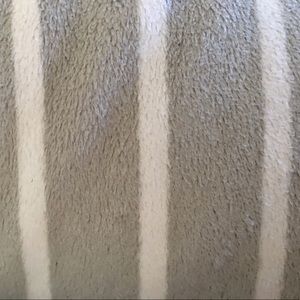 Meet your Posher, Kara