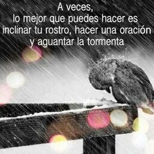 Meet your Posher, Fabiola