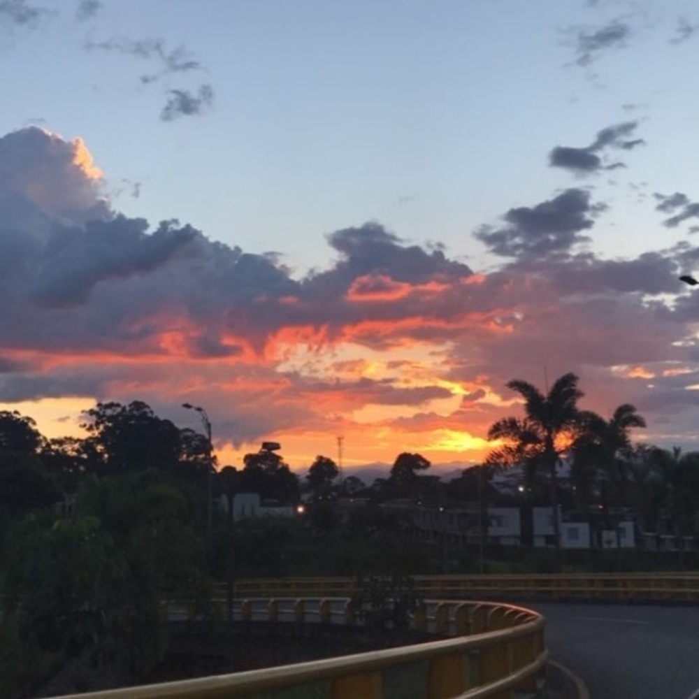 Meet your Posher, Andie