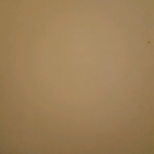 Meet your Posher, Bill