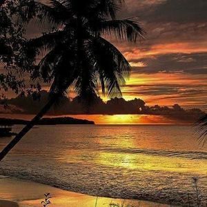 Meet your Posher, Tanya