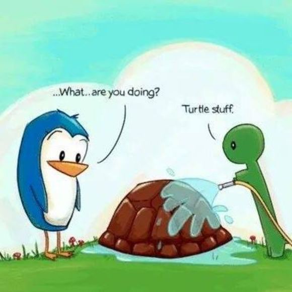 Meet your Posher, Sarah - Picture 1 of 1