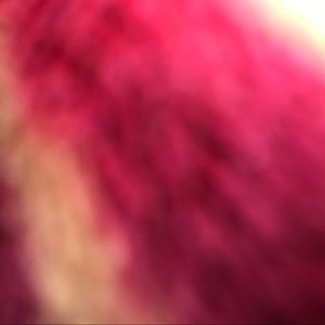 Meet your Posher, Ruby