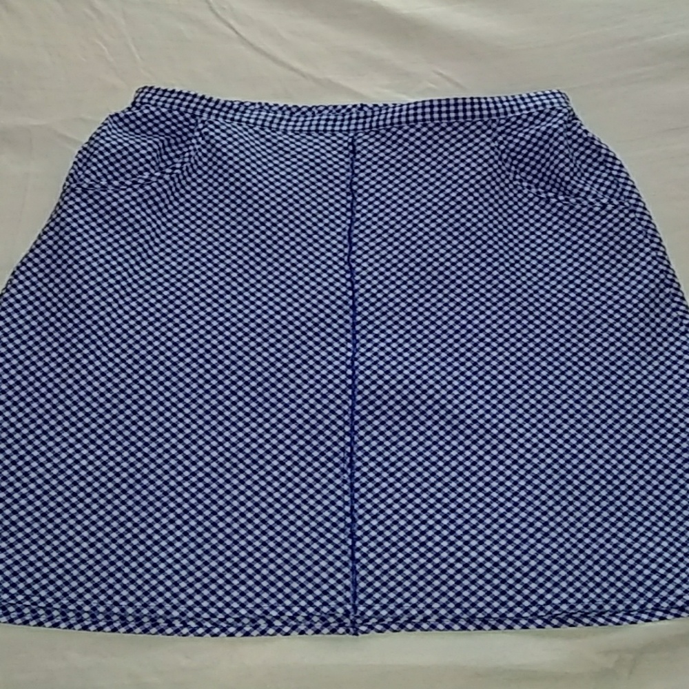 Cute Blue Gingham Skirt