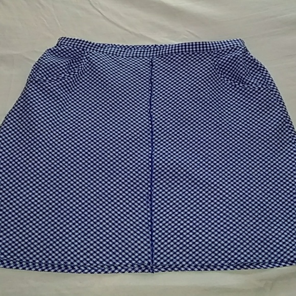 Cute Blue Gingham Skirt - Picture 1 of 3