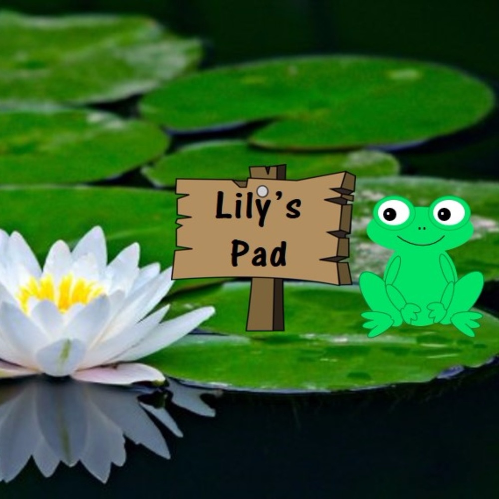 Meet your Posher, Lily's Pad