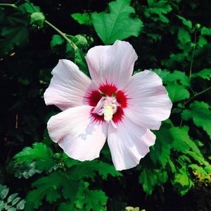 Meet your Posher, Paula