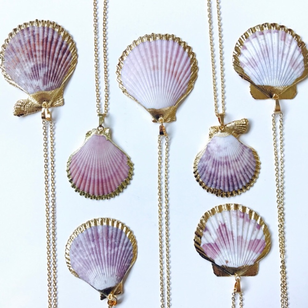 🎉HP!🎉 Scallop Shell Necklace