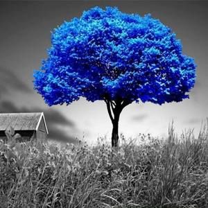 Meet your Posher, Shirley