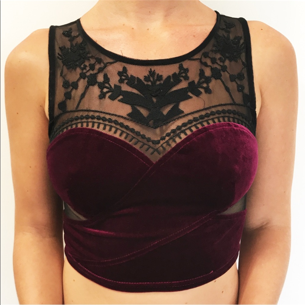 Velour / Mesh Plum Crop Top