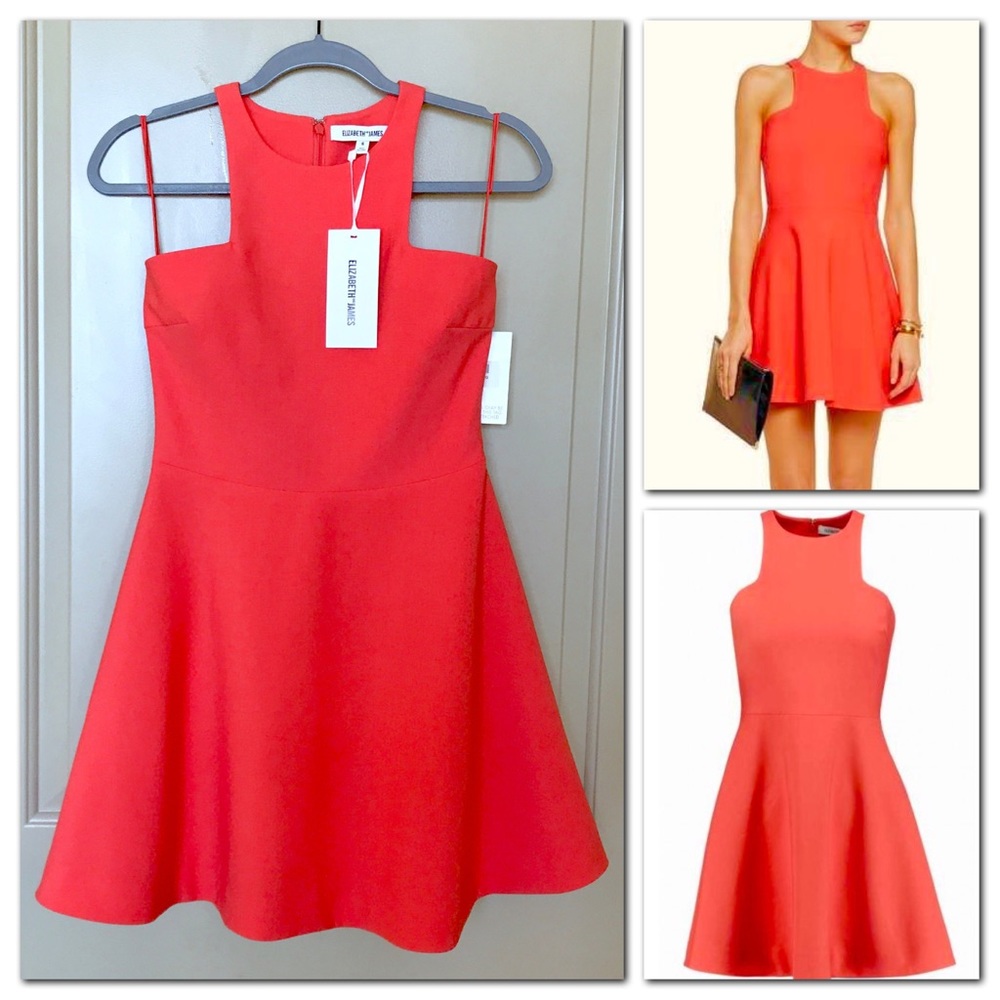 Elizabeth and James Fit and Flare Dress