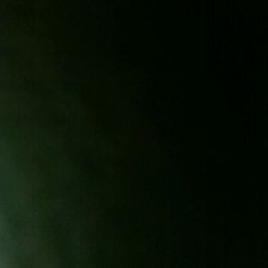 Meet your Posher, Tamara