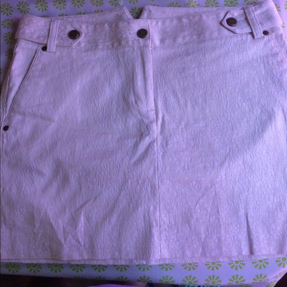 Express skirt