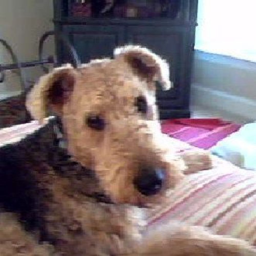 Meet your Posher, Vickie