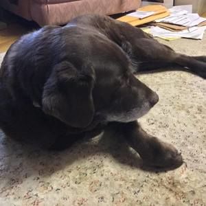 Meet your Posher, Chris