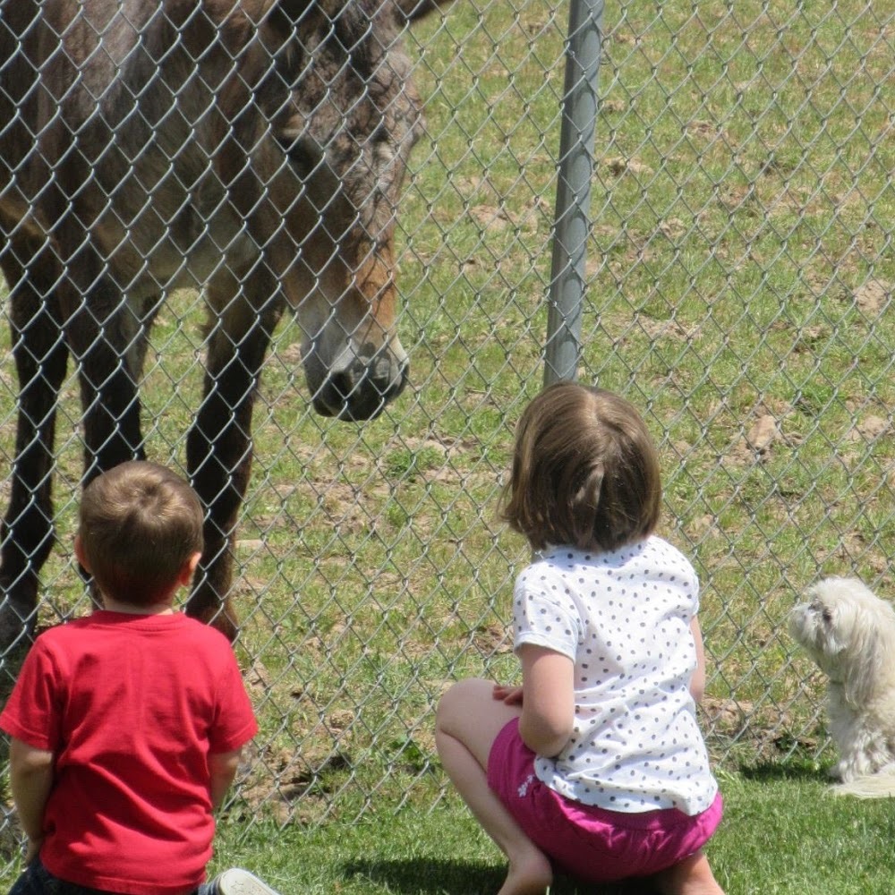 Meet your Posher, Rosemary
