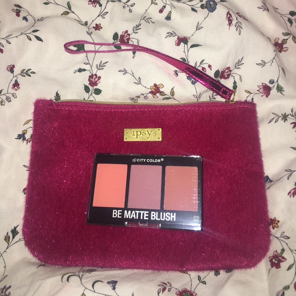 Brand new ipsy makeup bag with matte blush