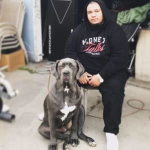 Meet your Posher, Luc