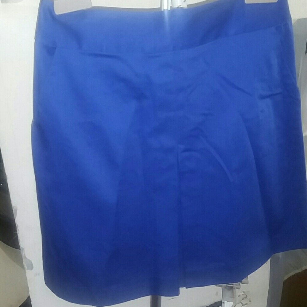 Blue Mini Skirt w/ pleat & exposed zip