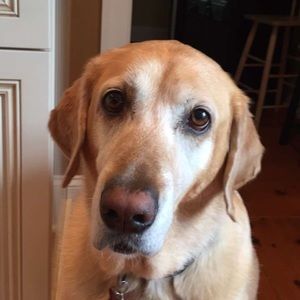 Meet your Posher, Steph