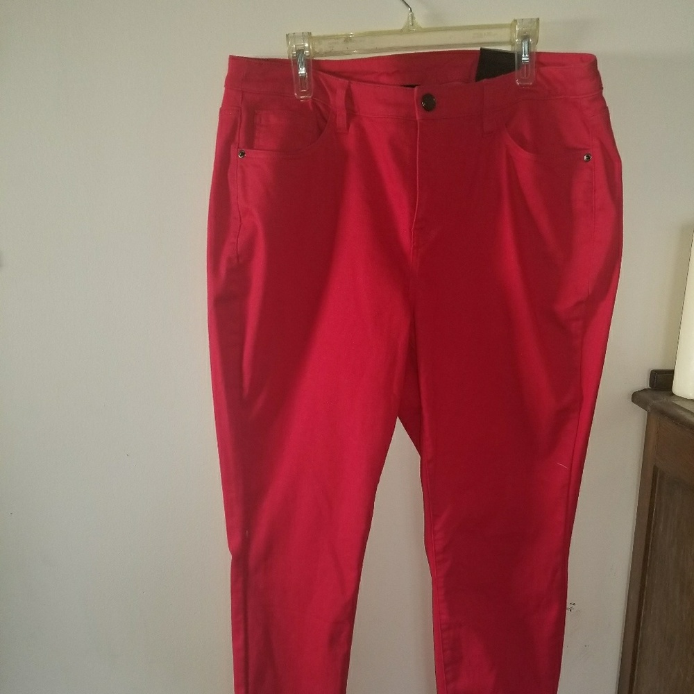 Lane Bryant Plus Size Jeggings