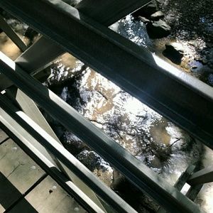 Meet your Posher, Josie