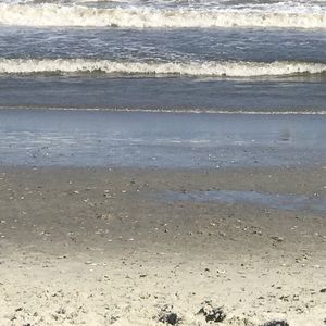 Meet your Posher, Symone