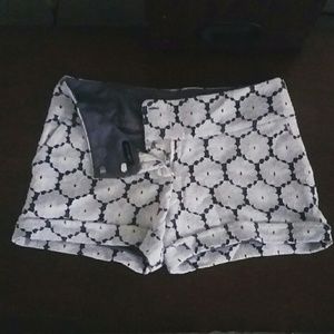 🌺Summer Sale!!🌺 Dressy Lace Shorts!