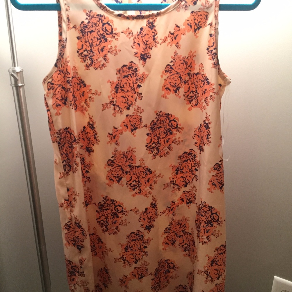 Pink/ Navy Sleeveless dress