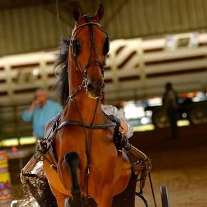 Meet your Posher, Sharon