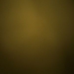 Meet your Posher, Cesar