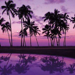 Meet your Posher, Theresa