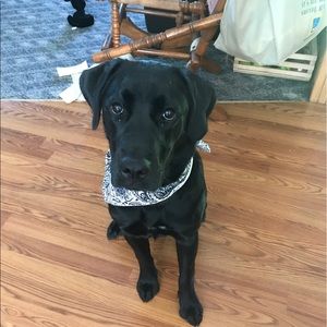 Meet your Posher, Emilee