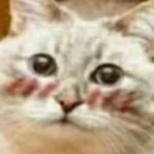 Meet your Posher, Bombon`s