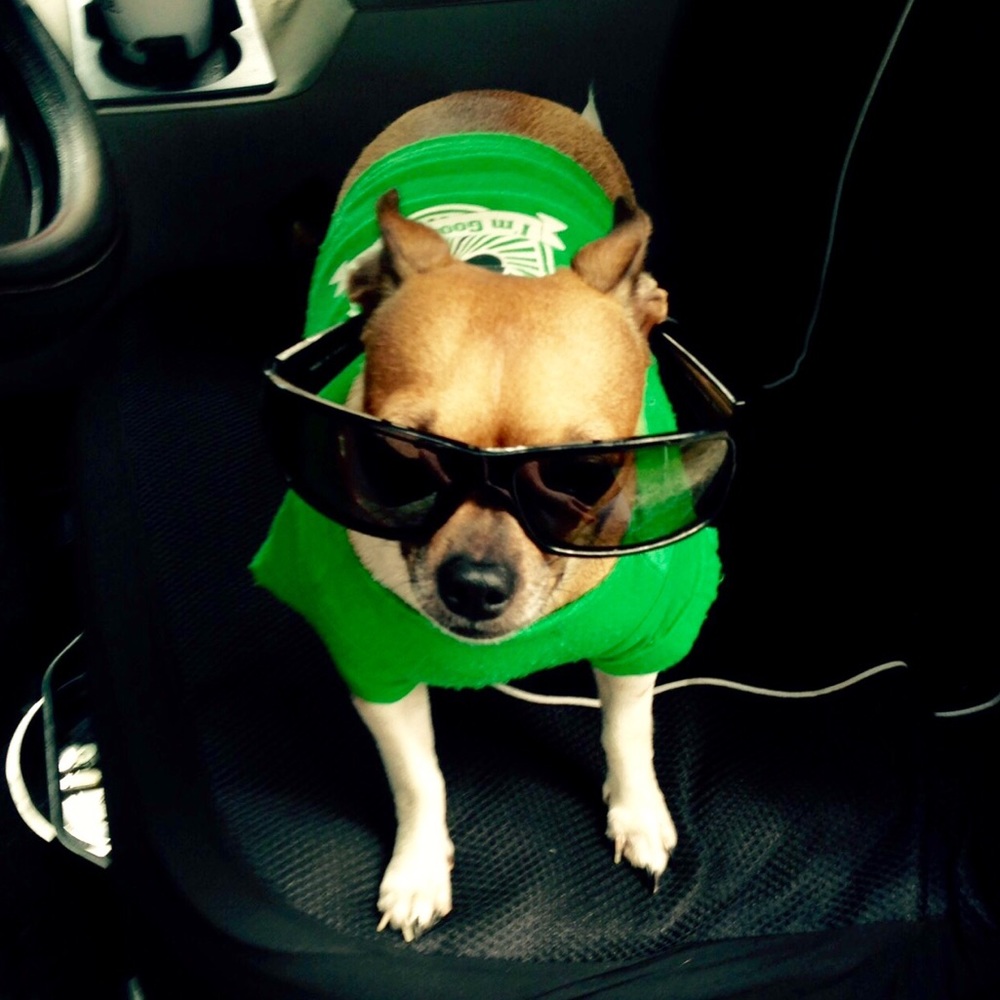 Meet your Posher, Mike