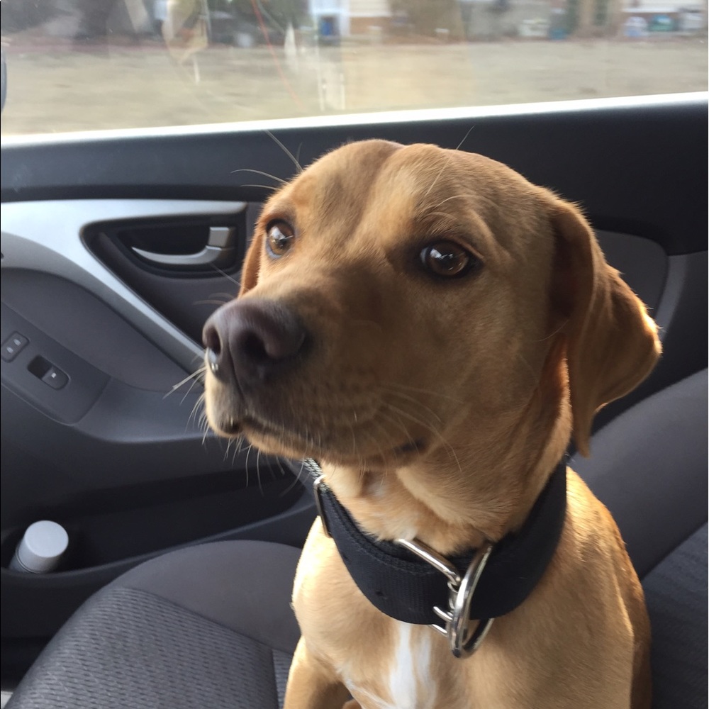 Meet your Posher, Kaitlyn